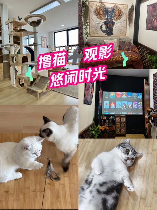 操大奶子美女老师的相关介绍
