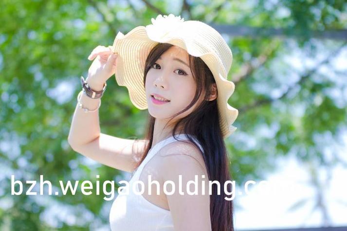 中华电影院的相关介绍