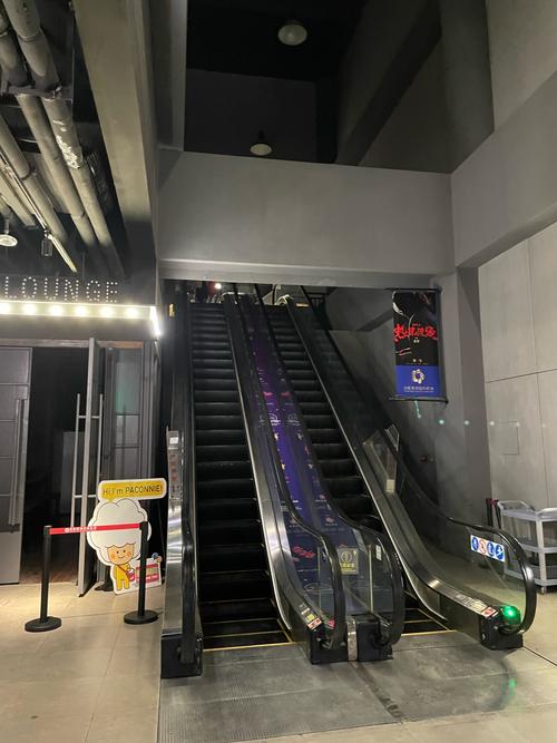 爱爱成人日b影院的相关介绍