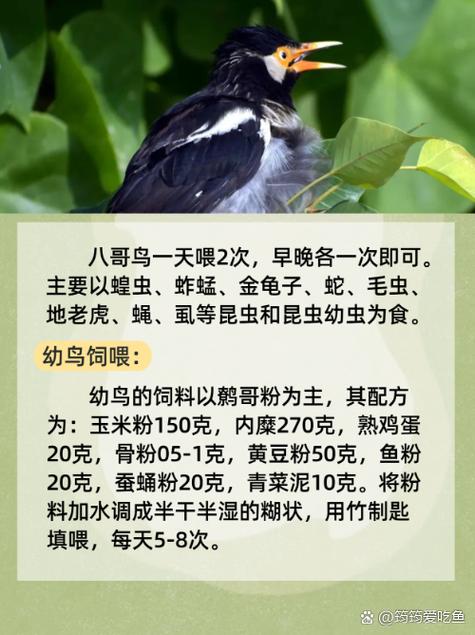 亚洲天堂男人的网站的相关介绍