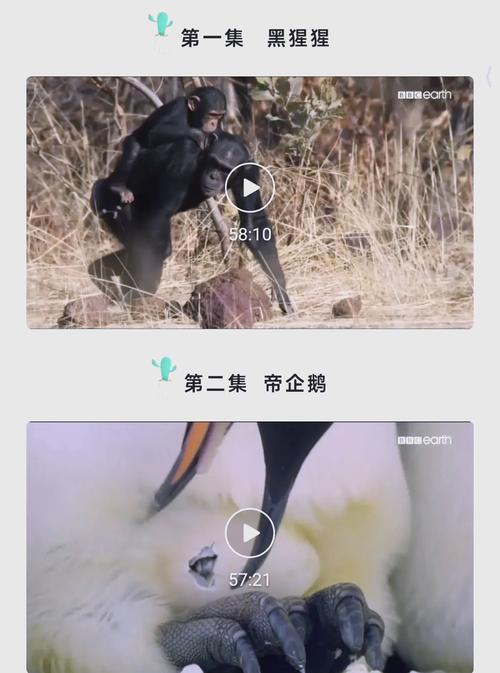 黄色电影院的相关介绍
