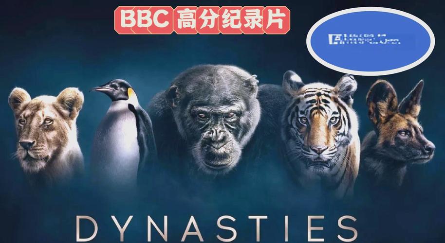 黑人与中国少妇av的相关介绍