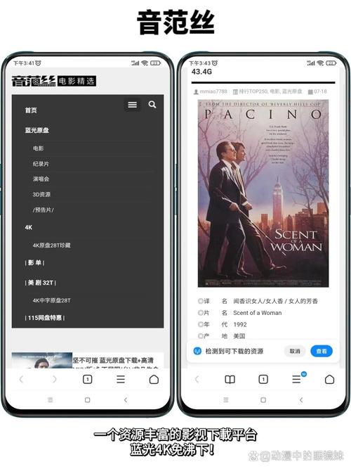 yy6090青苹果影院的相关介绍