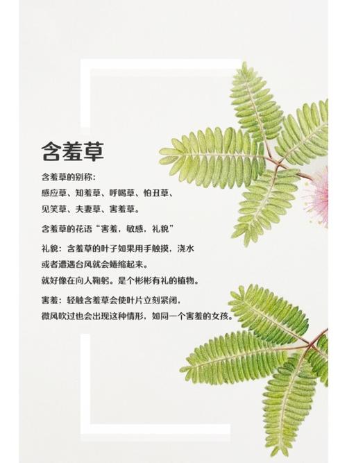 精品少妇人妻av一区二区v8的相关介绍