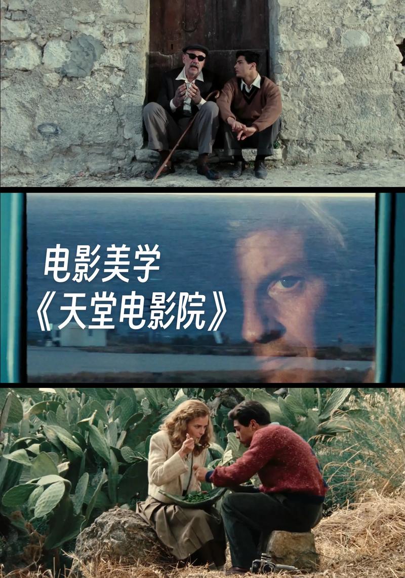 老师操的逼的相关介绍