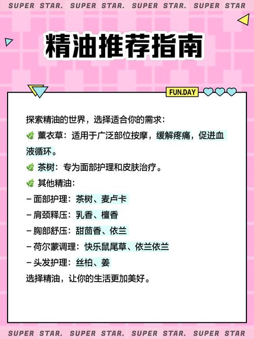 午夜私人成年影院的相关介绍