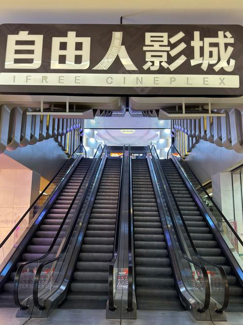 女下体有黄色分泌物的相关介绍