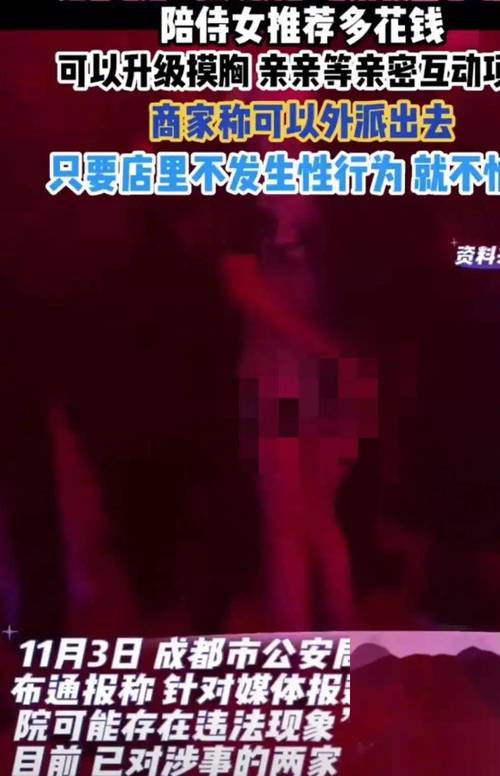樱桃高清影院的相关介绍