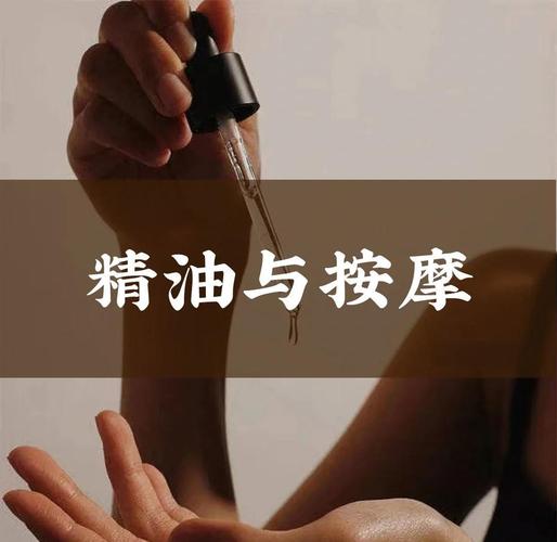 性欧美熟妇乱的相关介绍