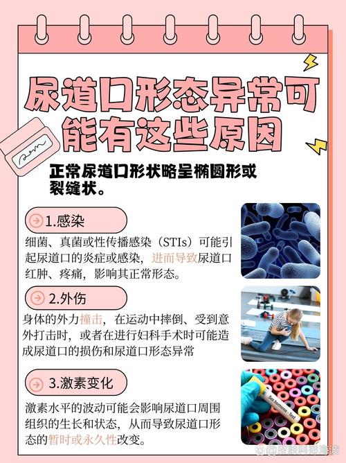 不花钱的毛片网站的相关介绍