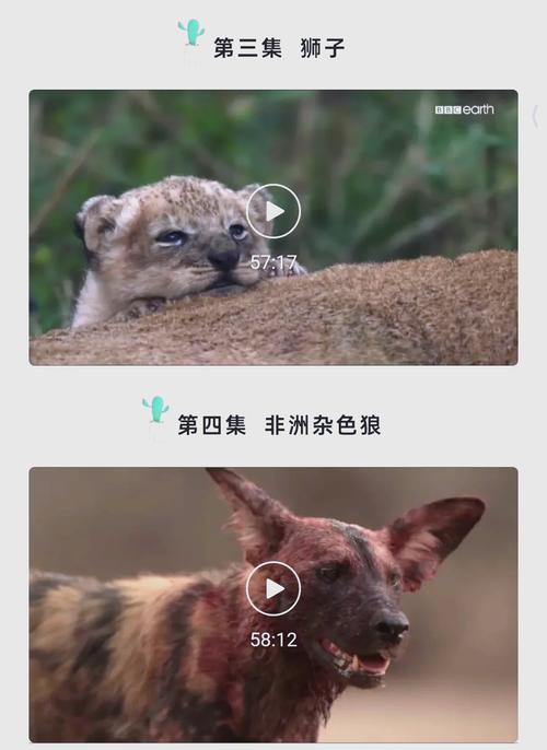 神马午夜影院的相关介绍