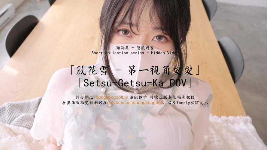 h官场人妻系列的相关介绍
