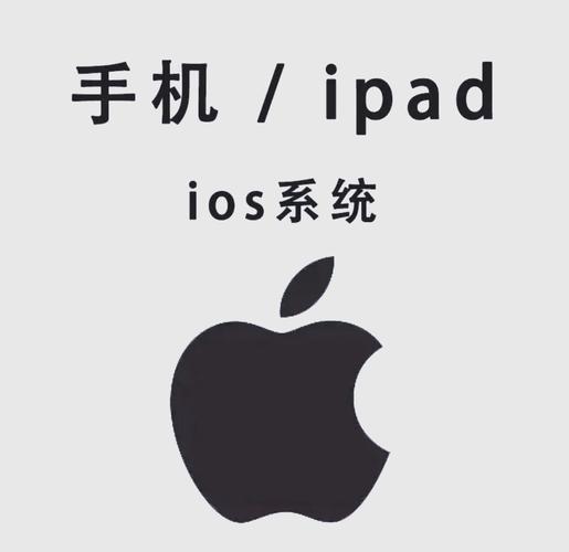 第九影院影达达兔的相关介绍