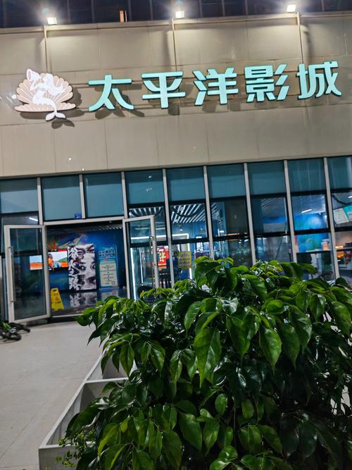 91精品综合久久久久久蜜桃的相关介绍