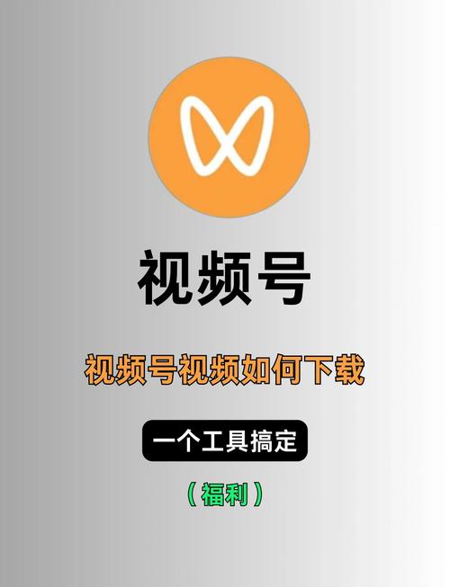 夫妻看的黄色录像的相关介绍