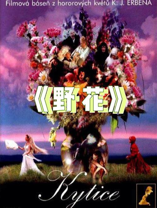国产高清无卡码的相关介绍