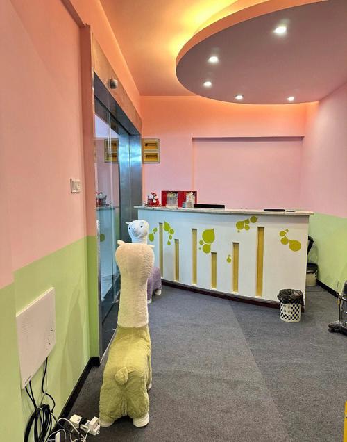 国产美女尻逼片的相关介绍