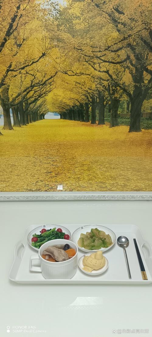 国产精品99久久久久久宅男性色的相关介绍