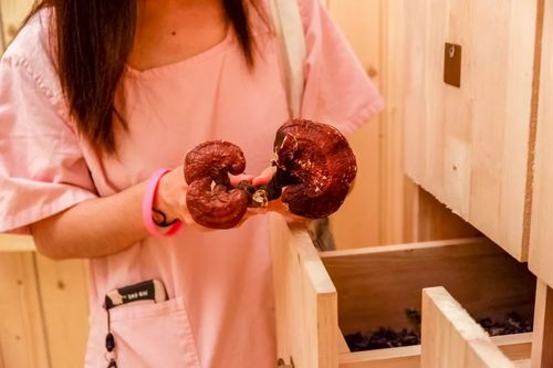 邻居家的天使大人小说的相关介绍