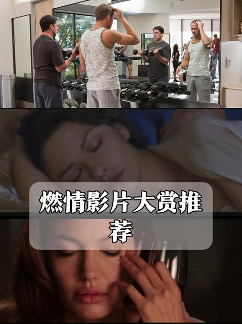 薇薇影院的相关介绍