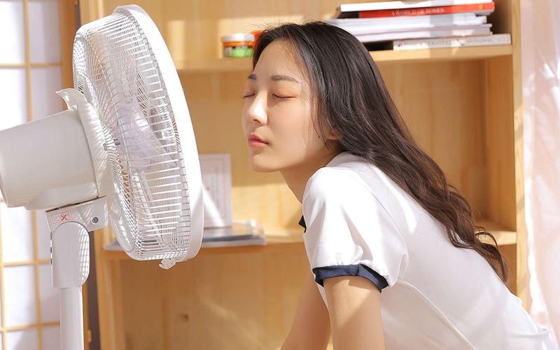 远古天龙影院的相关介绍