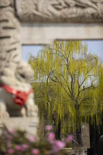 亚洲综合久久激情的相关介绍