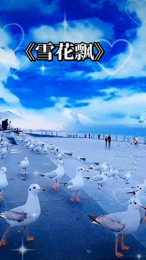 老湿影院老费的相关介绍