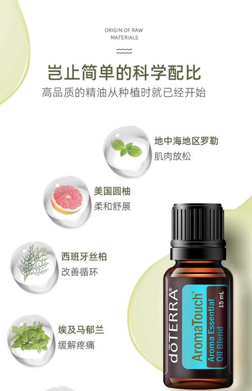 羞耻调教(高h,1v1)小说的相关介绍