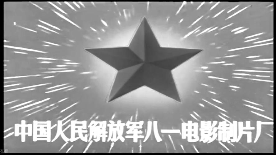 国产色婷婷精品的相关介绍