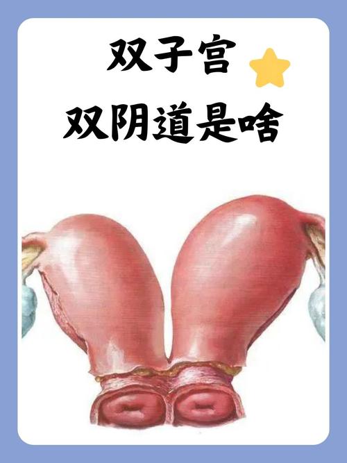 日本黄色精油按摩的相关介绍