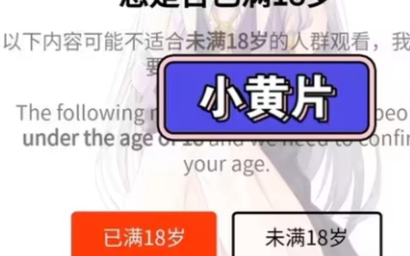 激情久久综合精品久久的相关介绍
