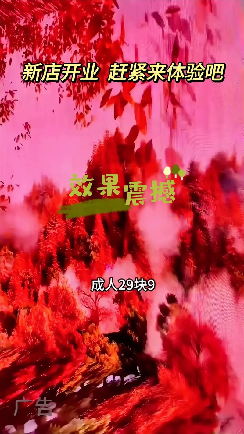 新视觉影院在线的相关介绍