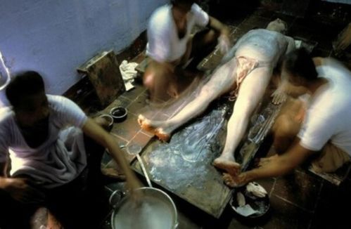 老湿影院免在线费看的相关介绍