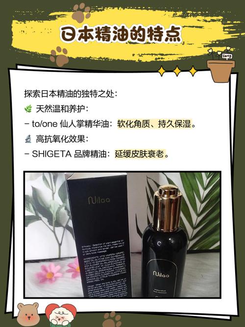波波影院7的相关介绍