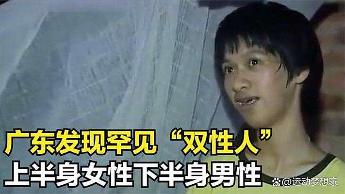 欧美午夜影院的相关介绍