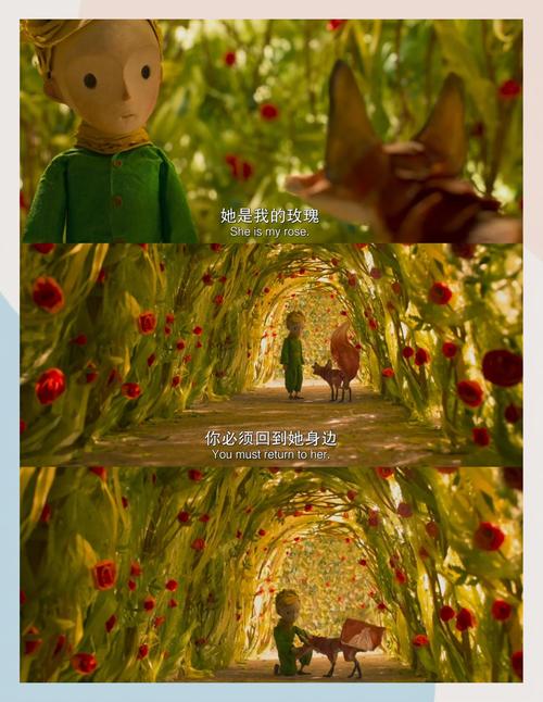黑丝av观看的相关介绍