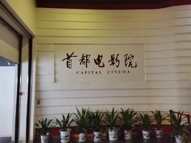 人妻啪啪的相关介绍