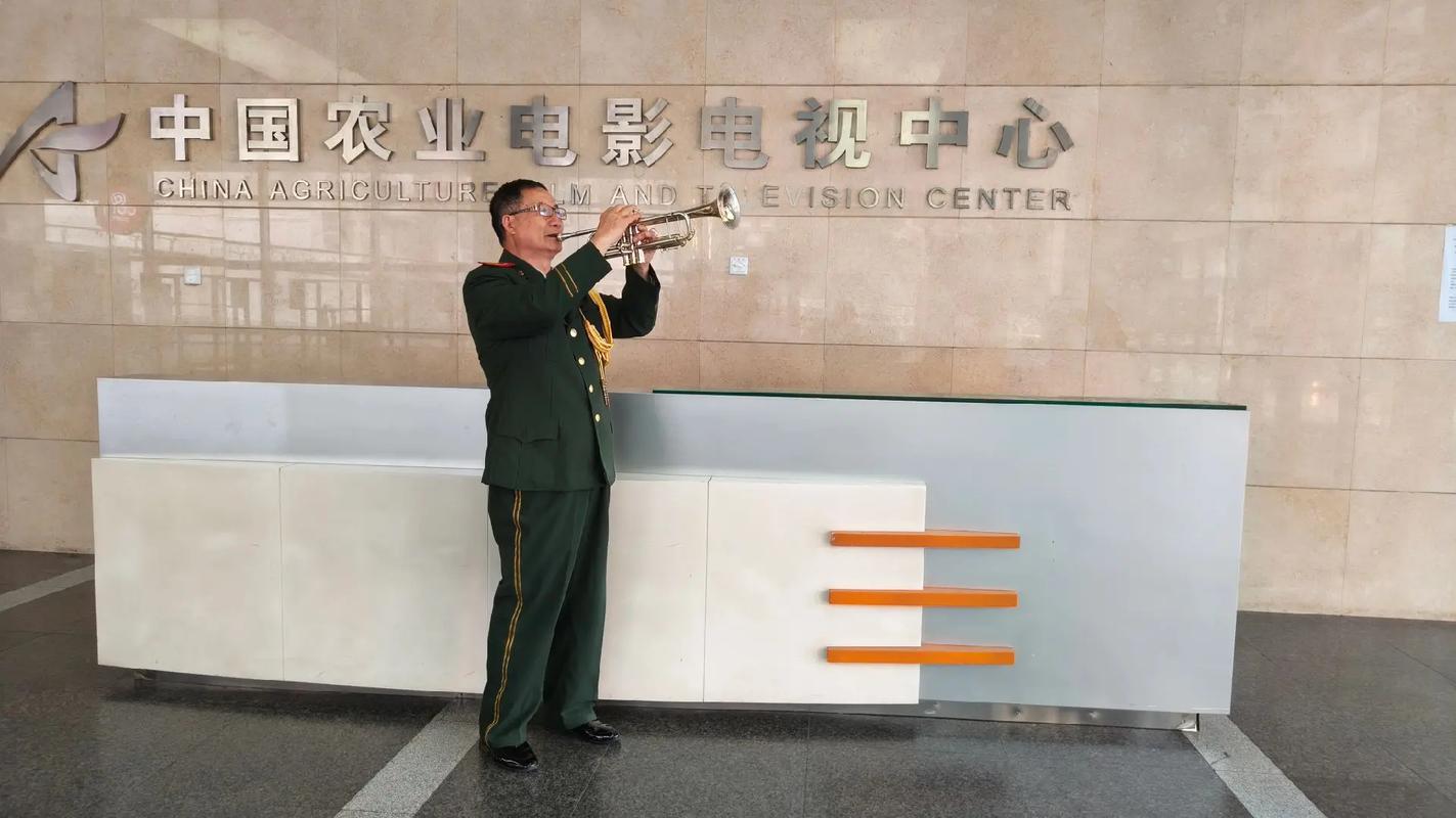 夫妻床上看的毛片的相关介绍