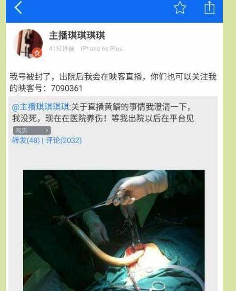 欧美506070老熟妇性的相关介绍