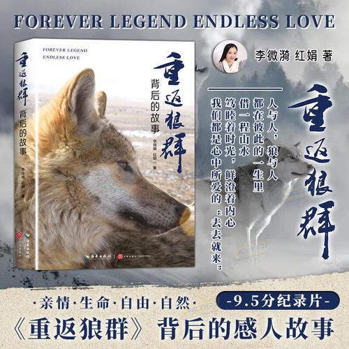 南瓜影院的相关介绍