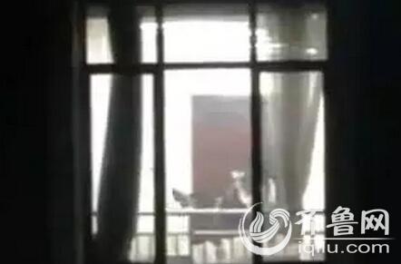 女性分泌物为黄色的相关介绍