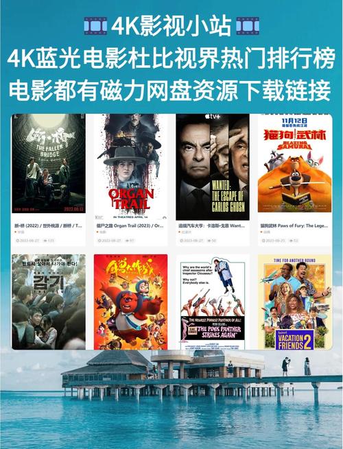 小草在线观看影院的相关介绍
