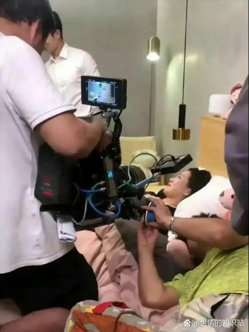 高潮毛片在线的相关介绍