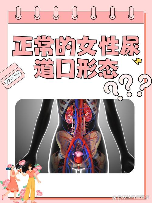 俄罗斯老人毛片的相关介绍